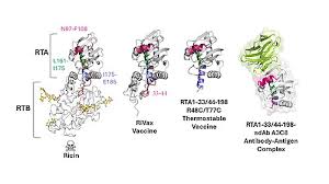 Image result for Ricin