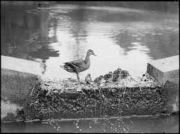 Welches sternzeichen passt zum krebs? Welches Sternzeichen Passt Zu Krebs Lies Es Hier