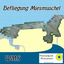 Der nationalpark ist etwa 345.800 ha groß. Befliegung Des Niedersachsischen Wattenmeeres Im Rahmen Des Miesmuschelmonitorings Numis
