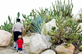 Things to do in san diego. Erin Trey Head Into The Old Cactus Garden In Balboa Park San Diego Ca Hauns Go West