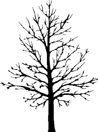 Bare Tree Silhouette Clipart Best Tree Silhouette Bare Tree Tree Stencil