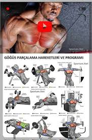 Ucretsiz Fitness Programlari Gym Workout For Beginners Bodybuilding Program Best Bodybuilding Program