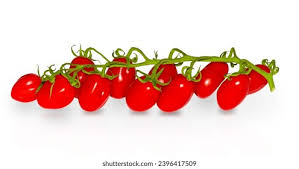 Image result for tomato Piccadilly
