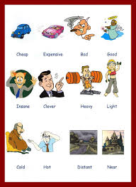 Adjectives Pictures Download And Print