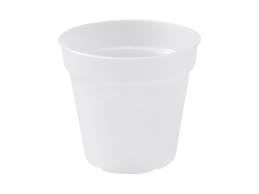 We did not find results for: Plastic Plant Pot Planter Frost White Size 13cm Plastic Pots Dubai Garden Centre