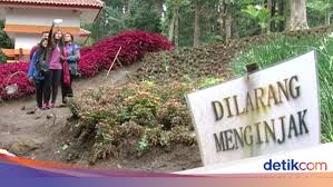 Jarak dari nuansa terang ke gelap yang membuatnya mudah dikombinasikan dengan satu dua warna atau lebih dan tetap melengkapi satu sama lain. Bunga Rusak Akibat Selfie Terulang Lagi Kali Ini Di Kebun Raya Baturraden