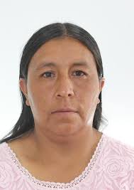 Antecedentes de Otorongos Elecciones 2022