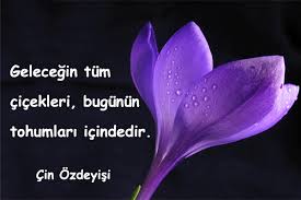 kÄ±rmÄ±zÄ± lale ile ilgili ÅŸiir ile ilgili gÃ¶rsel sonucu