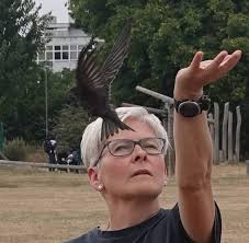 I'm wondering if someone can help, when walking my dog last night I found a  grounded swift