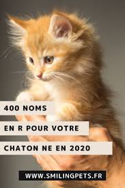 Noms De Chat En R En 2020 Noms De Chat Nom Pour Chat Femelle Prenom Chat Femelle