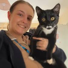 Adoptable dog looking for a new home