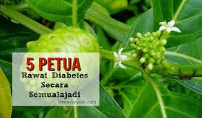 Antara puncanya ialah pemakanan yang tidak sihat dan salah satu ubat herba semulajadi kencing manis yang mujarab cik tom nak recommend pada anda semua ialah klinax organik. Tak Perlu Risau Lagi Sila Amalkan 5 Petua Mujarab Rawat Penyakit Diabetis Kencing Manis Kartel Dakwah