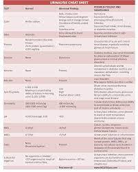 Urinalysis Cheat Sheet Nurse Practitioner School Pharmacology Nursing Medical Laboratory Science