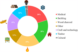 Image result for Millettia eetveldeana