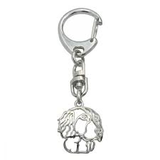 Image result for Malý münsterlandský ohař