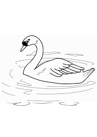 Select from 35919 printable coloring pages of cartoons, animals, nature, bible and many more. Coloring Pages Swan Coloring Pages Images For Kids