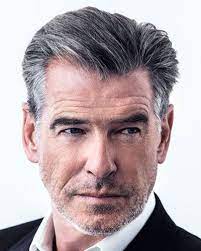 Comfortable medium wave synthetic wig for men 12 inches. Lace Front Short Synthetic Hair Grey Mens Wig Mens Wigs Sale