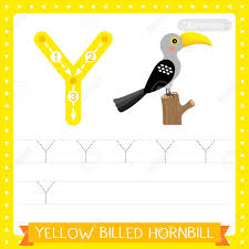 Both are playable in words with friends®. Letter Y Uppercase Cute Children Colorful Zoo And Animals Abc Alphabet Tracing Practice Worksheet Of Yellow Billed Hornbill Bird For Kids Learning English Vocabulary And Handwriting Vector Illustration Royalty Free Cliparts Vectors And