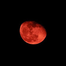 Eclipse lunar de mayo 2020: L1cf8ddaz8joom