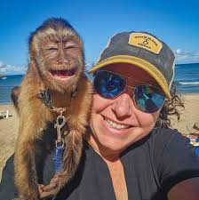 Dry ranch packet for crack chicken recipe