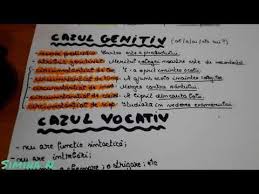 We did not find results for: LecÈ›ia De GramaticÄƒ Substantivul Cazurile Genitiv Dativ Si Vocativ Youtube Make It Yourself Blog