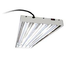 I strongly suggest sticking with the t5 style of fluorescent grow lights for cannabis because they give off the most amount of light for the size, and are specifically designed to be able to support taller plants up to 24 inches. Using T5 Grow Lights For Cannabis Cultivation Grow Weed Easy