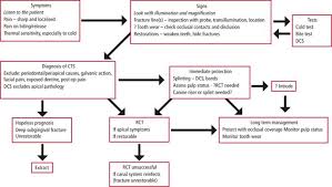 The Management Of Cracked Tooth Syndrome In Dental Practice