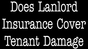 The answer is a bit nuanced. Landlord Insurance Archives Allchoice Insurance