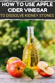 How To Use Apple Cider Vinegar To Dissolve Kidney Stones The Remedies Guide Organic Health Health Motivation Organic Nutrition