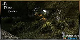 Launch minecraft, go to settings. Texture 256x256 Lb Photo Realism Pack 1 5 2 Minecraft France