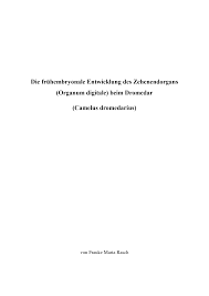 Oder suchst du ein anderes wort wie synonyme und umschreibungen? Https Edoc Ub Uni Muenchen De 20480 1 Rasch Frauke Maria Pdf