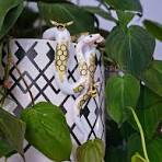 Hand-painted reptile decor for plant spaces