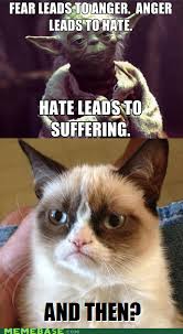 I M Already On The Dark Side Funny Grumpy Cat Memes Grumpy Cat Quotes Grumpy Cat Humor