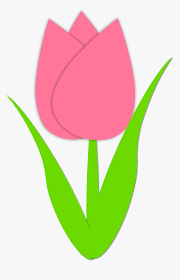 Maybe you would like to learn more about one of these? Pink And Yellow Tulip Download Free Download Clipart Tulip Flower Clip Art Hd Png Download Kindpng