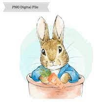 Peter Rabbit Png Sublimation Design Easter Bunny Design Digital Download Printable A Peter Rabbit Illustration Rabbit Illustration Peter Rabbit And Friends
