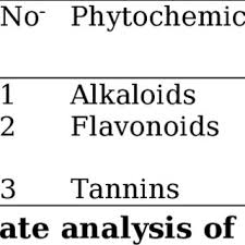 Image result for Discopodium penninervium