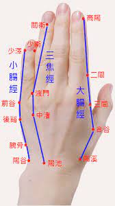 手掌穴道 手背穴位經絡 商陽穴 二間穴 三間穴 合谷穴 陽