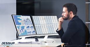 Data Analyst