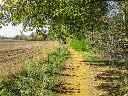 De klitsberg, venusberg, dalenberg, totenberg, zwaneberg, meelberg, geleberg, busselberg, stuikerberg, zandberg, steenberg en de mierheuvel leiden je met hun tot. Wandeling Doorheen De Vallei Van De Zwarte Beek 6 Km Effen Weg Vzw