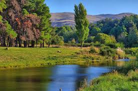 Sierra de la ventana cheap pet friendly hotels. 200 Travelling Around Argentina Ideas Argentina Travel Around Travel