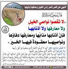 pin by fola on إسلاميات in 2021 peace be upon him ahadith hadith