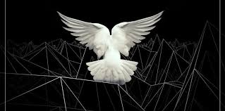 Also check out the rest of the pack, which is just as fire as the vocal loops! Free Female Vocal Samples By Gravitas Recordings Bpb