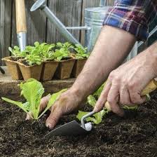 Apprendre le jardinage bio, ça vous tente ? Outils De Jardinage Gamm Vert