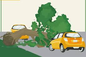 Bagaimanapun juga, saya tidak bersedia mengambil keputusan karena akan beresiko pada karir saya. Dua Pengendara Motor Tewas Tertimpa Pohon Duren Di Jalan Gunung Sari Mancak Kabupaten Serang Kabar Banten