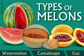 Watermelon Honeydew Or Cantaloupe Which Is Your Favorite Melon Colorful Juicy And Nutritious Melons Are Nutrition Fiber Rich Foods Healthy Food Choices