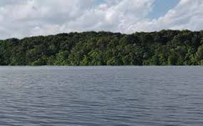 Maybe you would like to learn more about one of these? Missouri Boat Rental For Fishing Skiing Family Boats In Mo