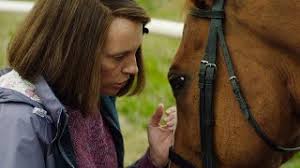 Let us know what you think in the comments below. Dream Horse Trailer Youtube