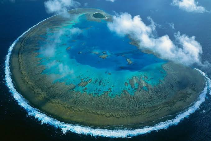 Lady Musgrave Island, Great Barrier Reef