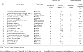 Image result for Pneumatopteris afra