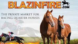 Home - Blazinfire - Private Market for Racing Quarter Horses